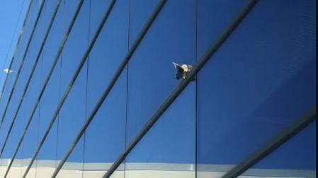 Un autillo, atrapado en el Parlamento