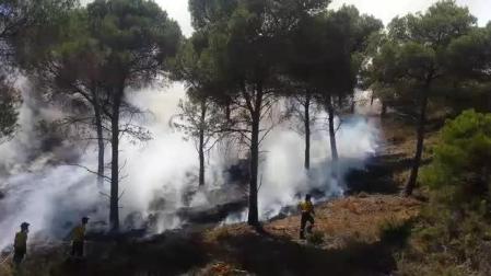 Se reactiva el incendio de Falces