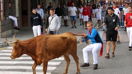 Novillos vespertinos y vacas por la mañana en la recta final