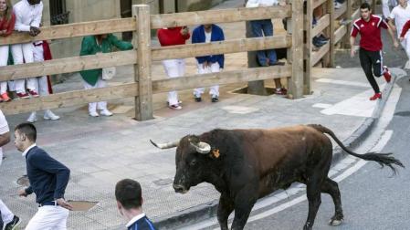 Imágenes del encierro y de diversos actos de la jornada dedicada a los niños.