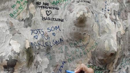 Imágenes de las dos ciudades, que tratan de recuperar la normalidad tras los ataques.