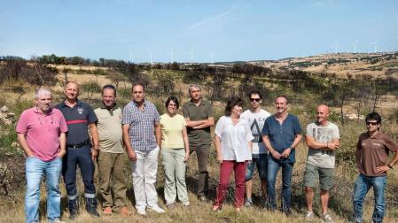 El monte afectado por el incendio de Tafalla inicia su lenta recuperación