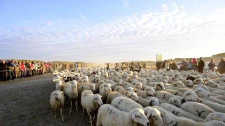 La fiesta de la trashumancia, a la que asistieron más de 200 personas, se adelantó un día para aprovechar la jornada dominical
