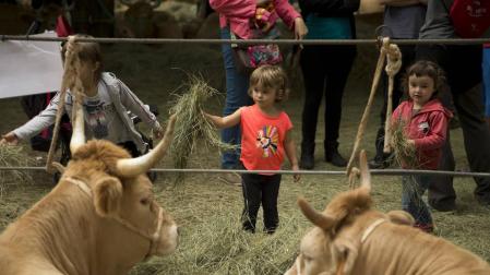 Tres menores simulan dar de comer a dos ejemplares de raza pirenaica en la edición del año pasado en Elizondo.