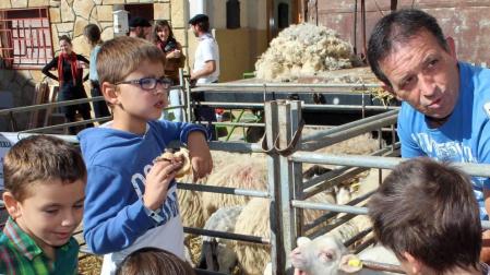 Galería de imágenes del día del pastor en Améscoa