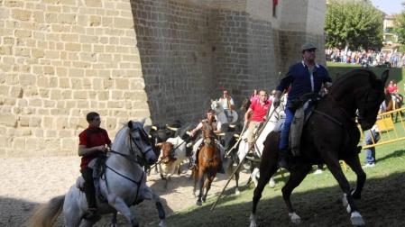 Día del caballo en las Ferias de Marcilla