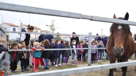 Tafalla mueve al domingo la feria caballar en un intento de revitalizarla