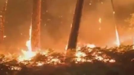El infierno al que se enfrentan los bomberos en Galicia