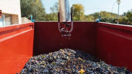 La DO Rioja finaliza su cosecha más temprana con 349 millones de kilos
