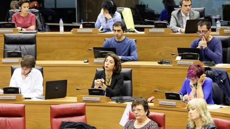 Los votos del cuatripartito sacan adelante una propuesta para "defender los derechos históricos de Navarra"