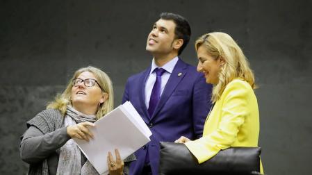 Aprobada, con la abstención de EH Bildu, una propuesta del PPN de condena de ETA