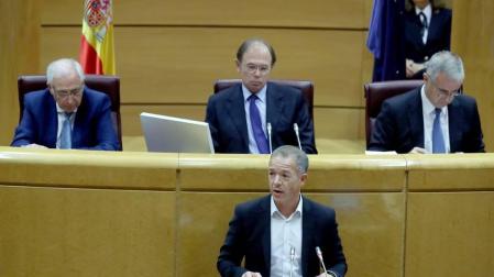 El portavoz del PSOE, Ander Gil, en el Senado