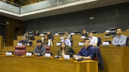 El Parlamento Joven queda constituido con 30 miembros