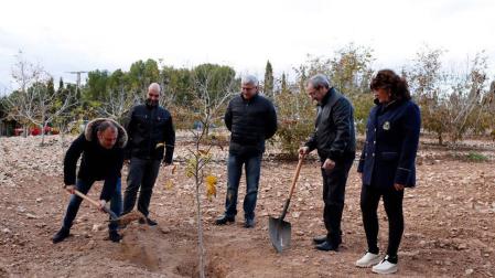Fustiñana pedirá que el lanzamiento de nueces sea Fiesta de Interés Turístico