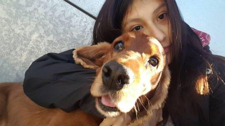Ofrecen 1.500 euros por un cocker perdido en Pamplona