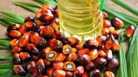 Los riesgos reales del aceite de palma en la salud