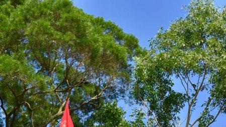 Bandera en la tumba del santo