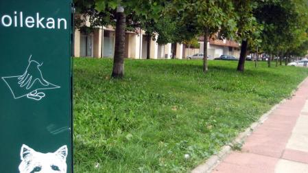 Alsasua reedita el bando de perros que obliga a retirar sus heces