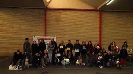 Mascotas buscan nuevo dueño en Tudela