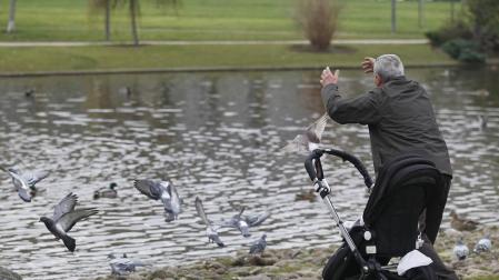 Pamplona quitará los huevos de las palomas para controlar su población