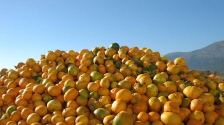 Baleares prohibirá tirar alimentos en buen estado