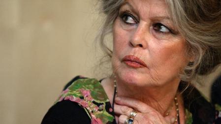 Brigitte Bardot pide a Oviedo que retire el decreto contra los gatos callejeros