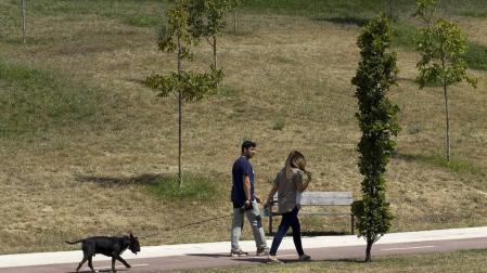 Una pareja pasea a su perro en las inmediaciones de Ripagaina