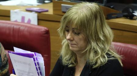 Ollo dice que el informe de Etxarri es del Ayuntamiento y no le corresponde valorarlo
