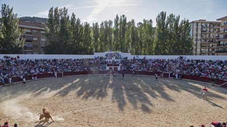 Estella abre la puerta a encierros de toros en la nueva gestión de la plaza
