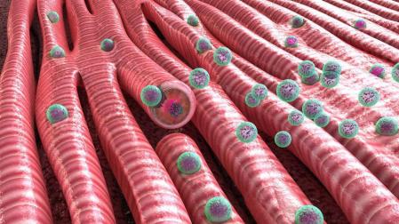 Las nanopartículas, héroes pequeños contra un mal gigante