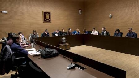 Reclaman medidas en Berriozar contra excrementos de perros