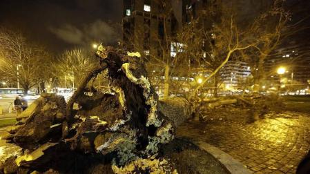 Dos personas resultaron heridas este lunes por la tarde en Pamplona al caerles encima un árbol en la Vuelta del Castillo de Pamplona, el situado en la confluencia de la Avenida del Ejército y Pío XII.