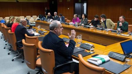 PNV quiere  que el Estatuto vasco se abra a vínculos políticos con Navarra