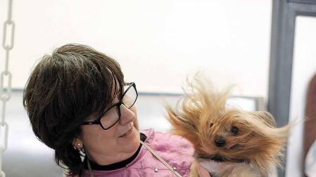 Una mañana en una peluquería canina de Berriozar