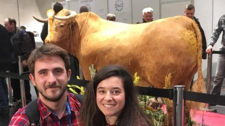 Un toro disecado por el pamplonés Javier Celay, premiado en Austria