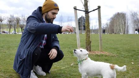 Lola, una perra de Pamplona con 17.000 seguidores en Instagram