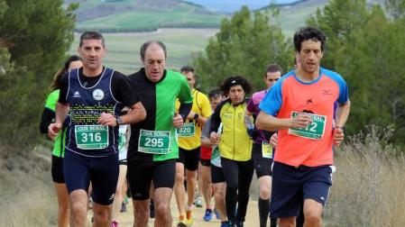 Imágenes del 'V Cross Pinares de Lerín'.