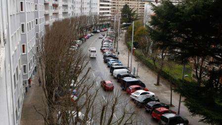 Un plan prevé sustituir de forma gradual los árboles de Sancho el Fuerte