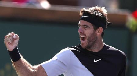 Juan Martín del Potro apabulla a Raonic y se cita con Federer en la final