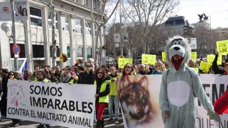 Cientos de personas se manifiestan en Madrid por la defensa del lobo ibérico