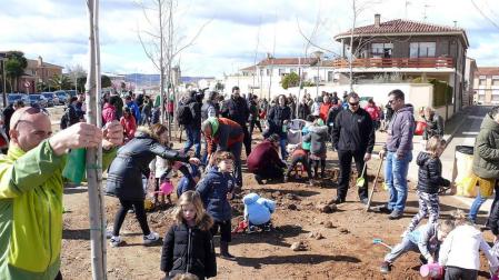 Los niños cirboneros plantan 24 árboles