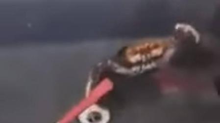El vídeo que se ha hecho viral de un cangrejo luchando con un cuchillo