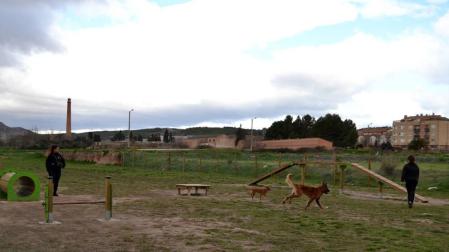 Lodosa y Policía Foral unen campañas contra los excrementos caninos