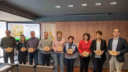 Un proyecto impulsa la gestión comarcal de la biomasa forestal en Estella