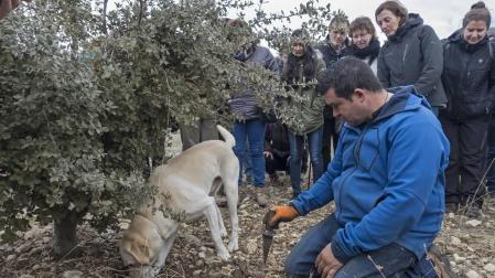 La trufa de Metauten: un plan para esta Semana Santa