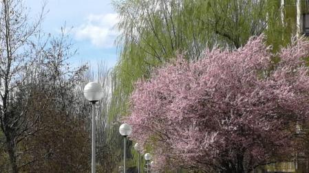 Temperaturas suaves y riesgo de chubascos desde este martes en Navarra