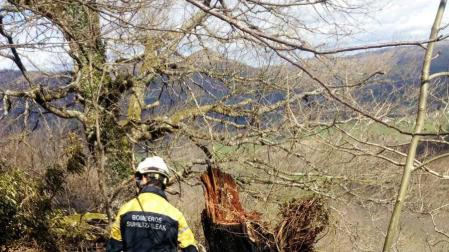 Un incendio quema 14 hectáreas, cuatro de arbolado, entre Elbete y Arizkun