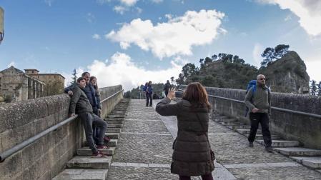 Estella aprueba el proyecto de una ruta turística con el zumaque como hilo conductor