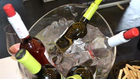 El festival del vino navarro busca llegar a un nuevo público, los jóvenes. La tercera edición de Vinofest, que comenzó este viernes y se despedirá este sábado, ofrece degustar más de 60 vinos por 5 euros.