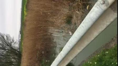 N113, a su paso por Castejón